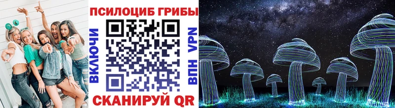Псилоцибиновые грибы Cubensis  блэк спрут ТОР  Новомичуринск 